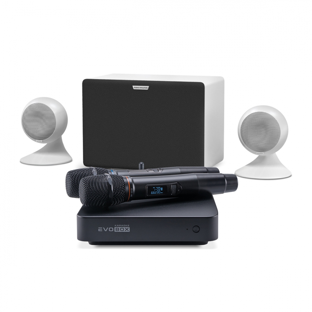 караоке-комплект EVOBOX Classic + EvoSound Sphere 2.1 в Курске