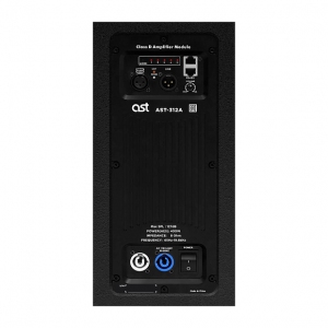 Активная акустическая система AST-312A в Курске