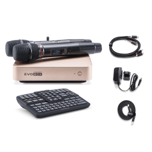 EVOBOX Classic караоке-система для дома в Курске