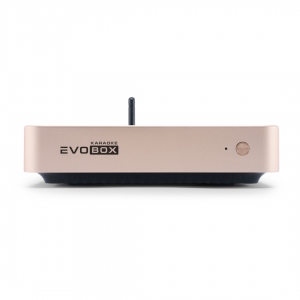 EVOBOX Plus караоке-система для дома в Курске